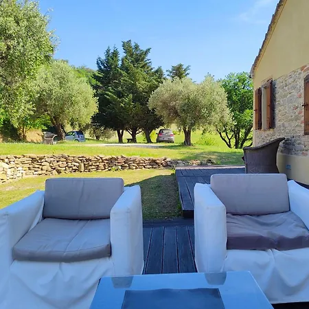 Canarecchia By Mmega